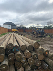 logs